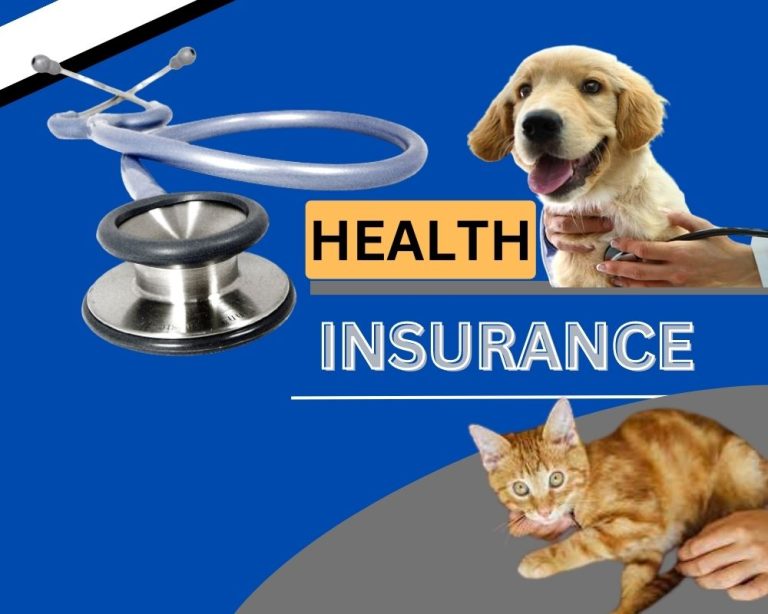 Health Insurance Plans