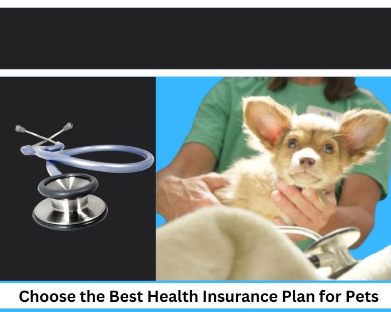 Health Insurance Plans