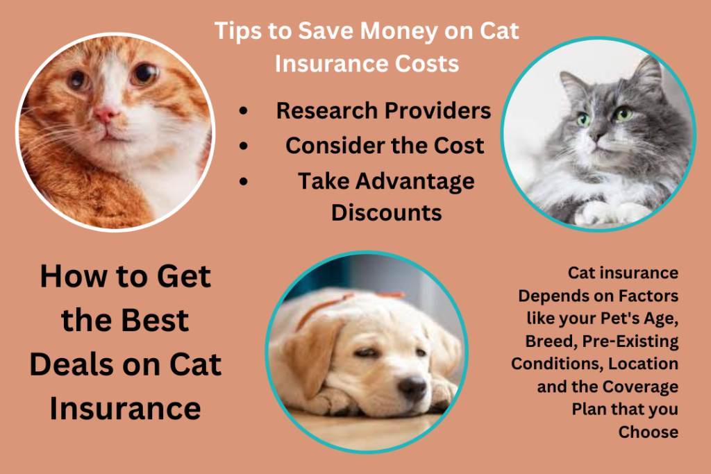 Cat Insurance Costs
