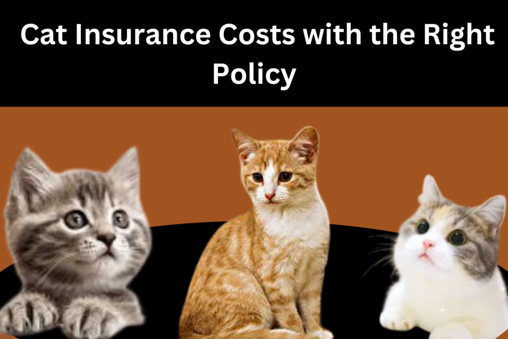 Cat Insurance Costs

