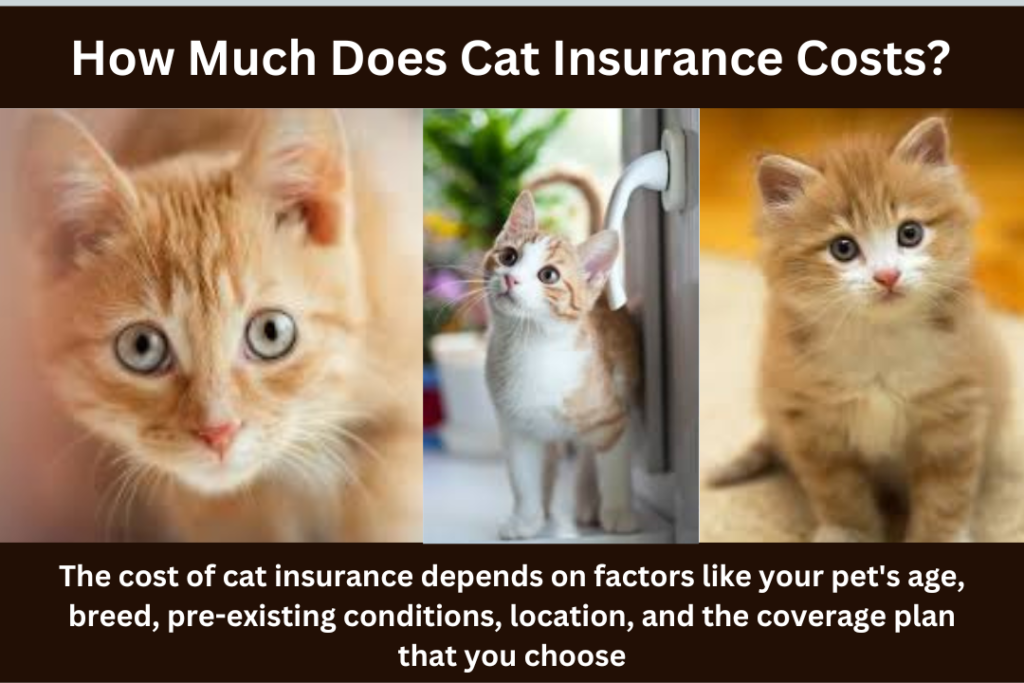 Cat Insurance Costs
