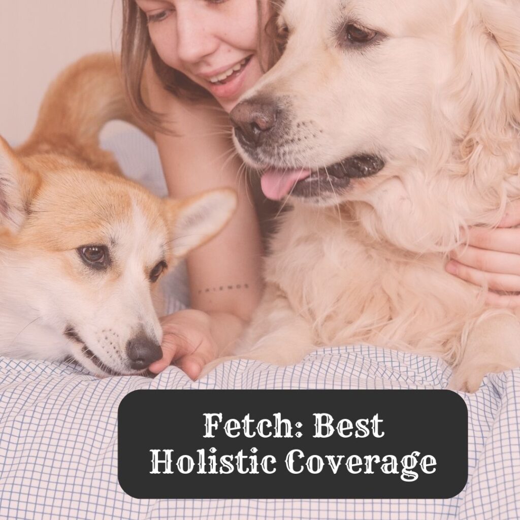 pet insurance Indiana
