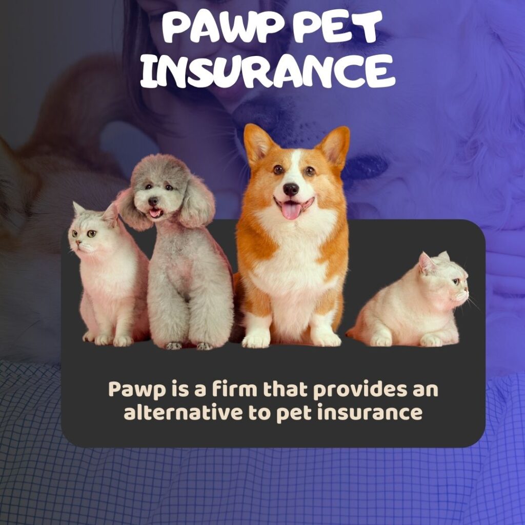 Pawp Pet Insurance 