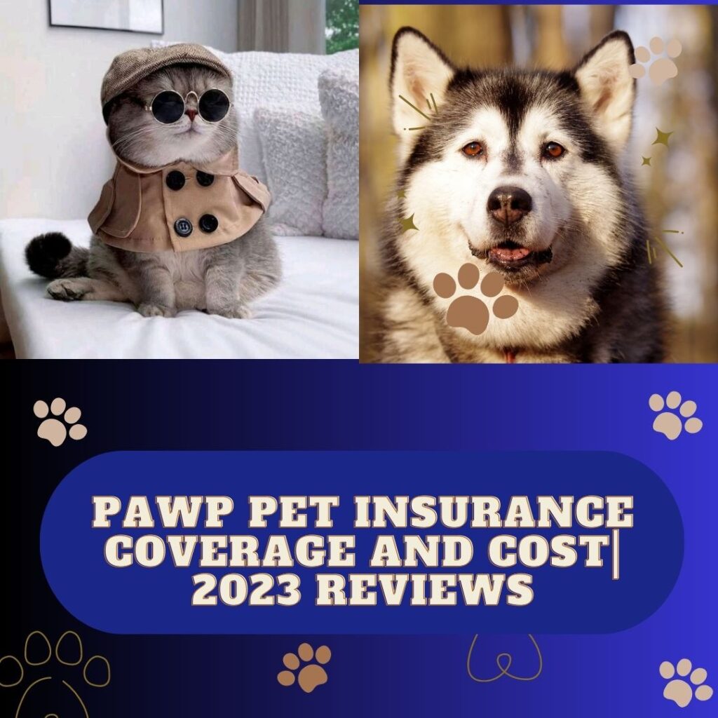 Pawp Pet Insurance 