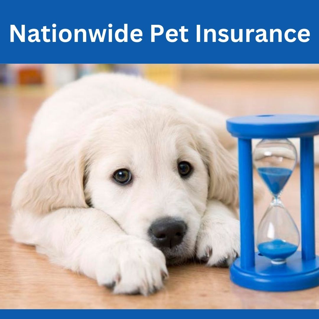 A Comprehensive Guide to Nationwide Pet Insurance in the USA