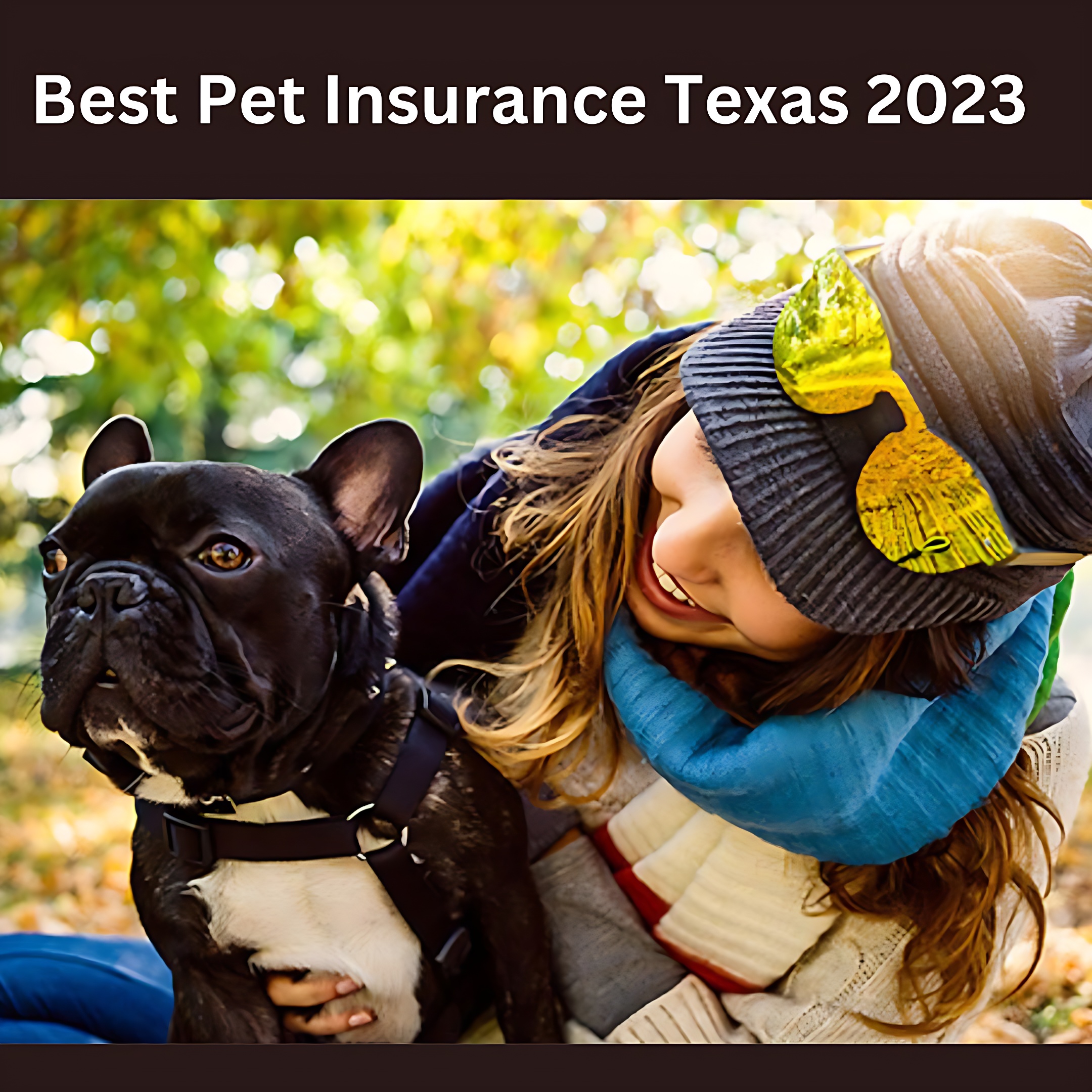 Best Pet Insurance Texas 2023