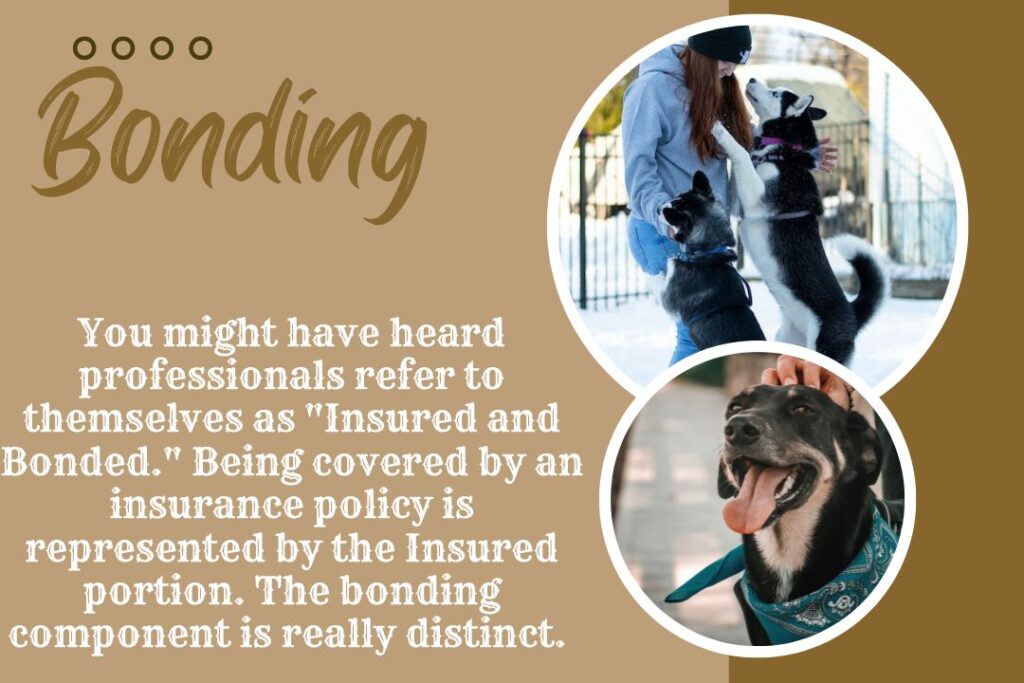 Pet Sitting liability Insurance 